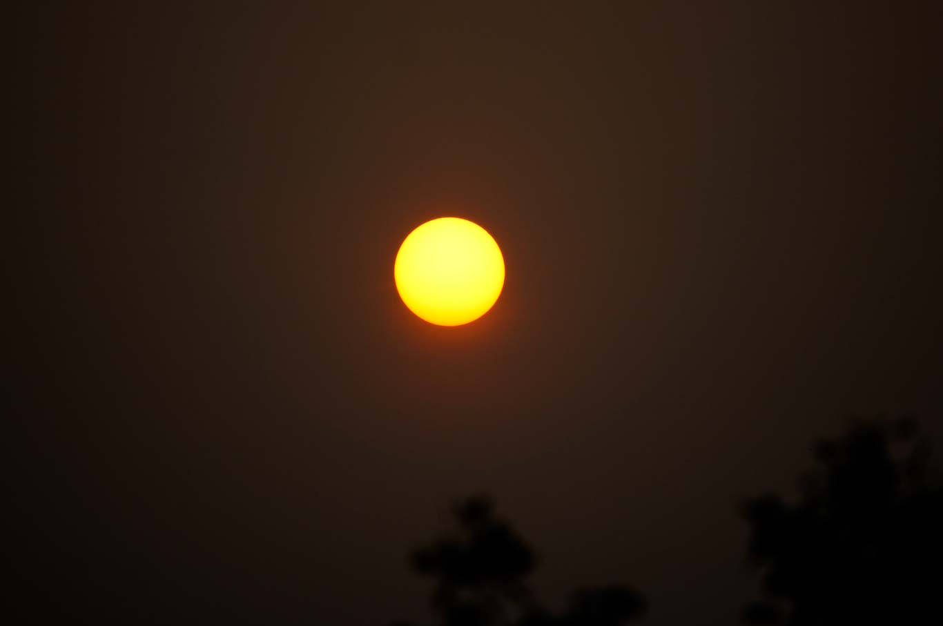 Let every dawn be to you as the beginning of life, and every setting sun be to you as its close. John Ruskin