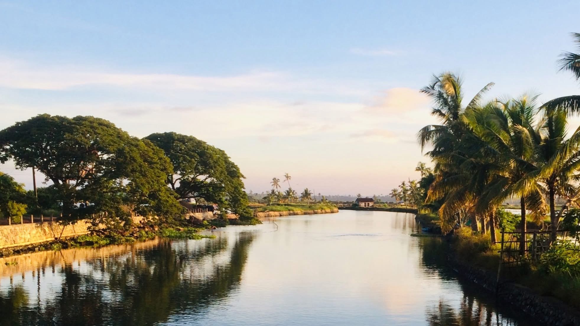 Another entry into the Kadamakudy photofest 2025