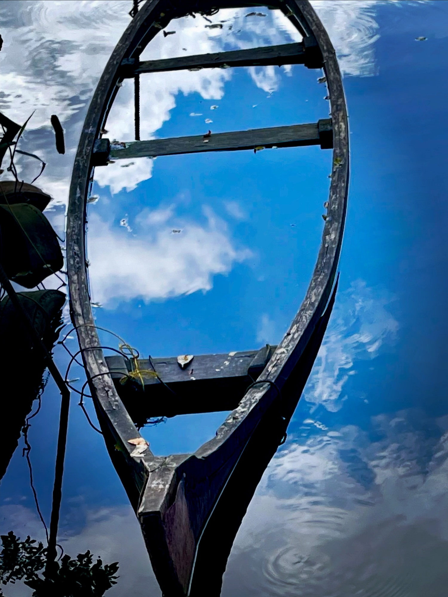 Walking with my camera