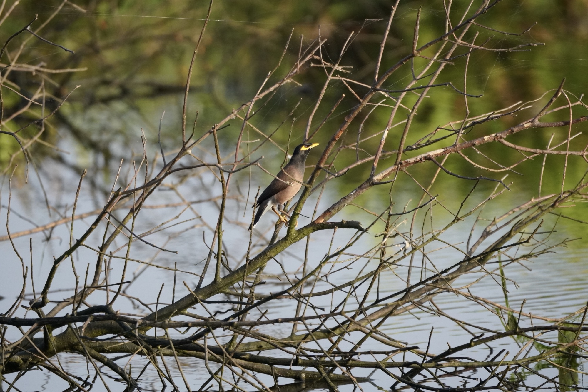 Portraits of Kadamakkudy Islands