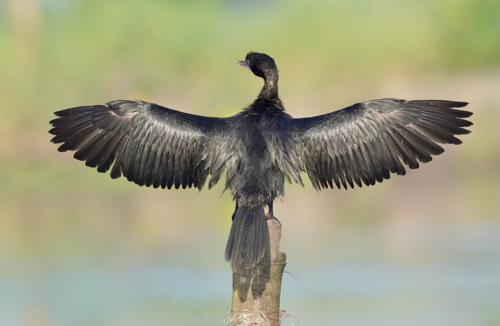 Portraits of Kadamakkudy Islands