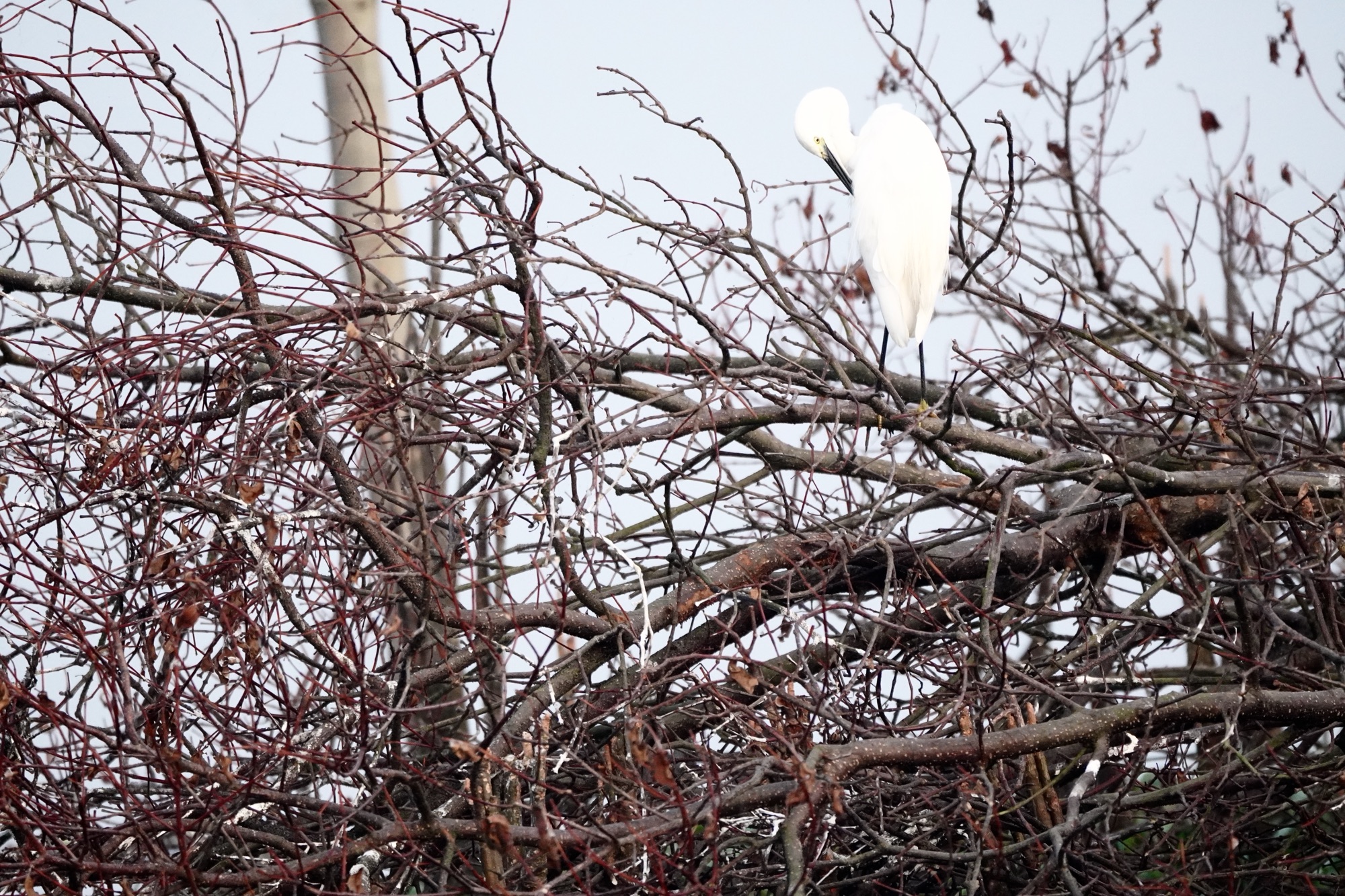 This is really upsetting