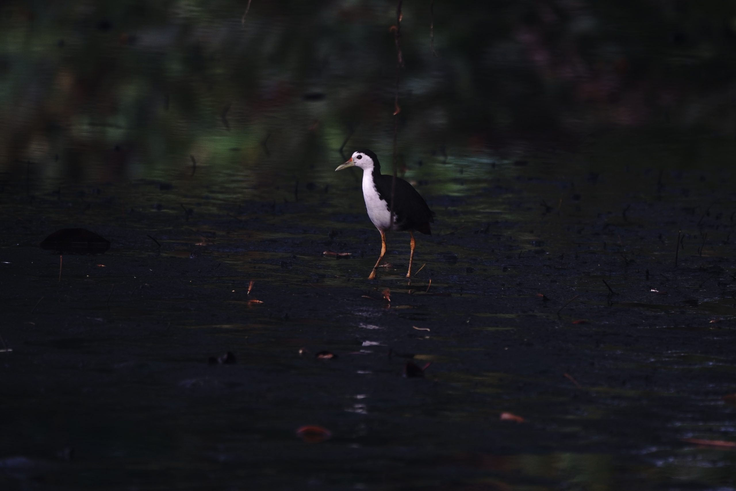 Things will change…..