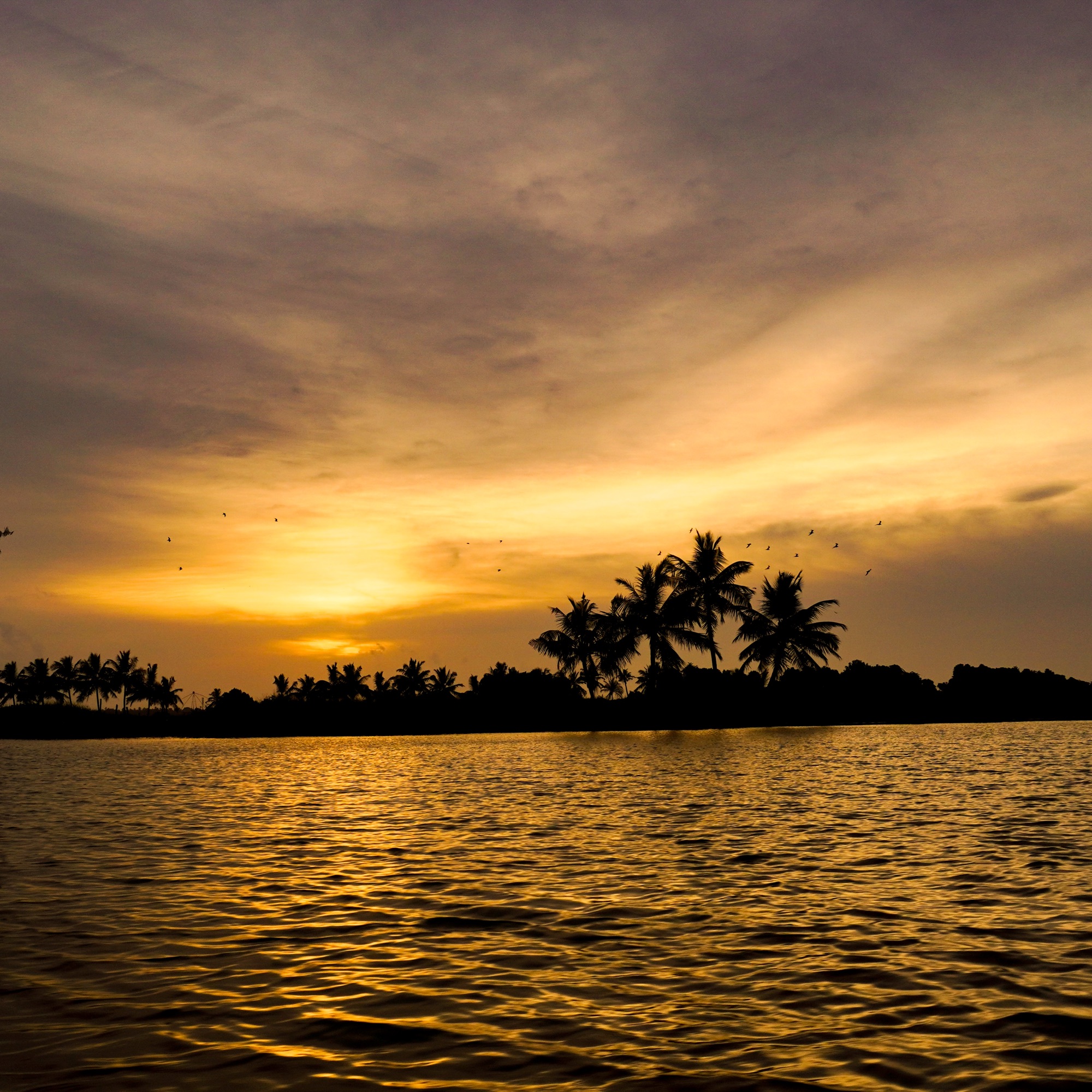 Life in Kadamakkudy Islands